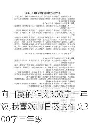 向日葵的作文300字三年级,我喜欢向日葵的作文300字三年级