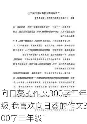 向日葵的作文300字三年级,我喜欢向日葵的作文300字三年级