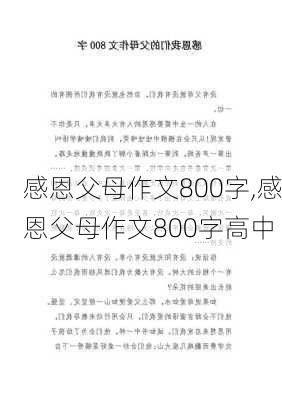 感恩父母作文800字,感恩父母作文800字高中