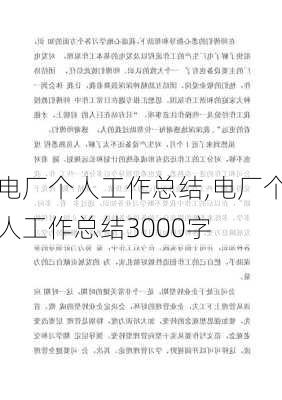 电厂个人工作总结,电厂个人工作总结3000字