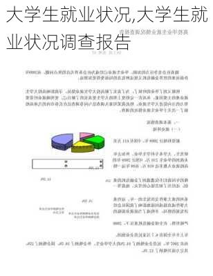 大学生就业状况,大学生就业状况调查报告