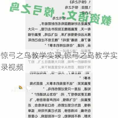 惊弓之鸟教学实录,惊弓之鸟教学实录视频