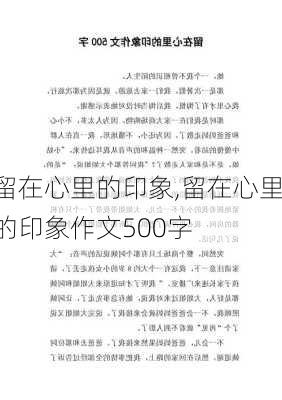 留在心里的印象,留在心里的印象作文500字