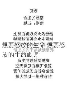 想要怒放的生命,想要怒放的生命歌词