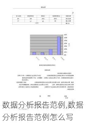 数据分析报告范例,数据分析报告范例怎么写