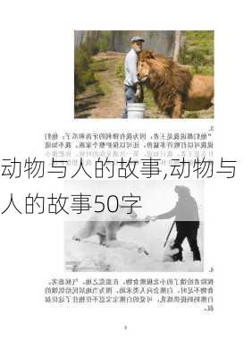 动物与人的故事,动物与人的故事50字