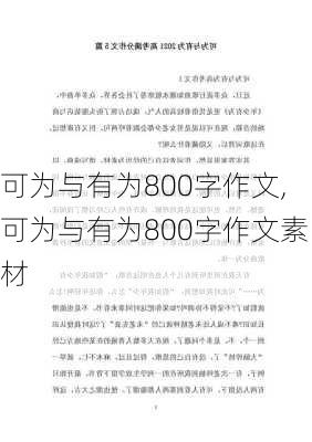 可为与有为800字作文,可为与有为800字作文素材