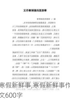 寒假新鲜事,寒假新鲜事作文600字