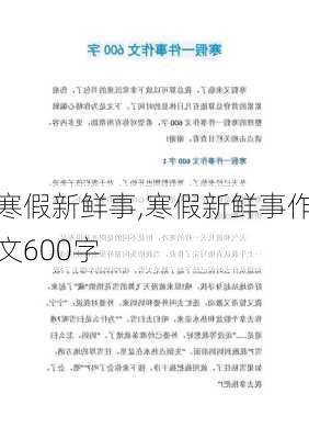 寒假新鲜事,寒假新鲜事作文600字