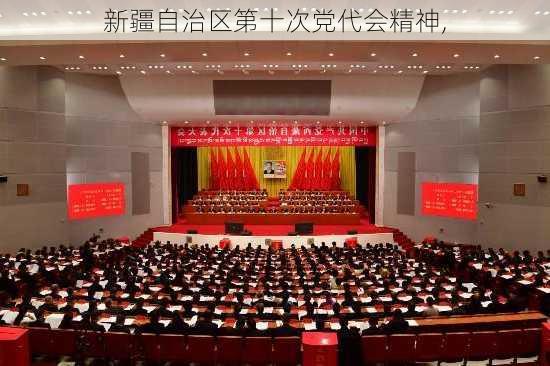 新疆自治区第十次党代会精神,