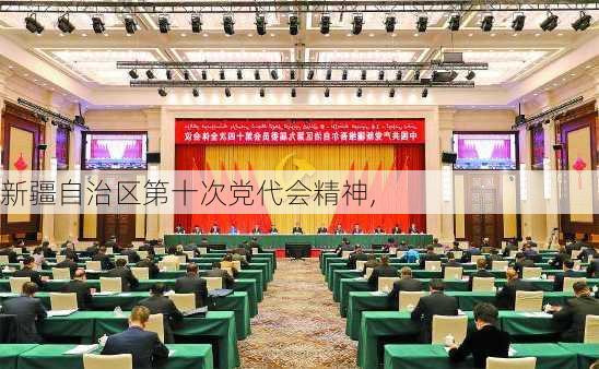 新疆自治区第十次党代会精神,