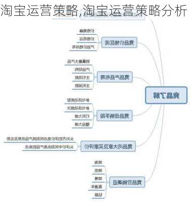 淘宝运营策略,淘宝运营策略分析