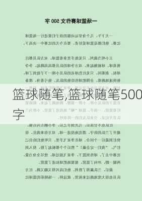 篮球随笔,篮球随笔500字