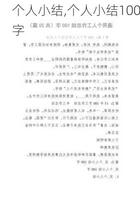 个人小结,个人小结100字