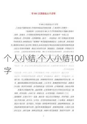 个人小结,个人小结100字