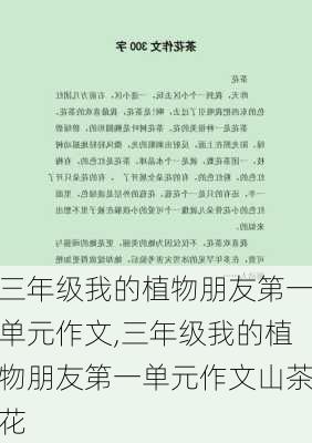 三年级我的植物朋友第一单元作文,三年级我的植物朋友第一单元作文山茶花