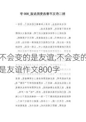 不会变的是友谊,不会变的是友谊作文800字