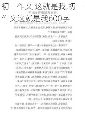 初一作文 这就是我,初一作文这就是我600字