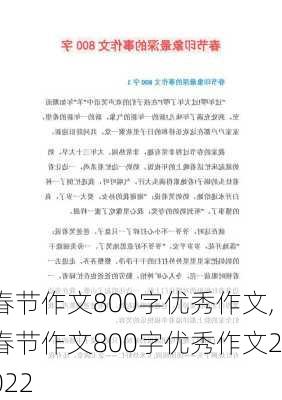 春节作文800字优秀作文,春节作文800字优秀作文2022