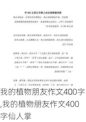 我的植物朋友作文400字,我的植物朋友作文400字仙人掌