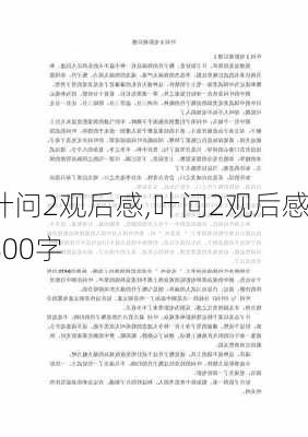 叶问2观后感,叶问2观后感800字