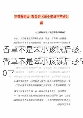 香草不是笨小孩读后感,香草不是笨小孩读后感50字