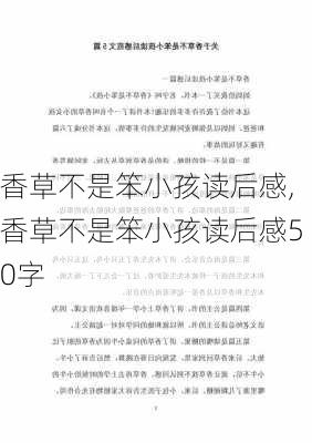 香草不是笨小孩读后感,香草不是笨小孩读后感50字