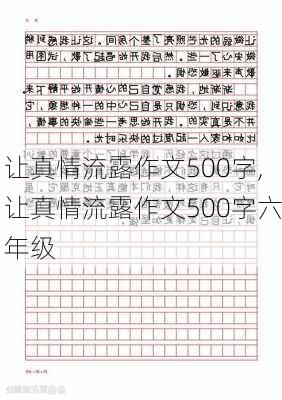 让真情流露作文500字,让真情流露作文500字六年级